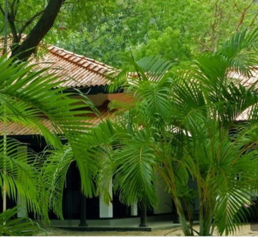 Jayasinghe Holiday Resort Kataragama Luaran gambar